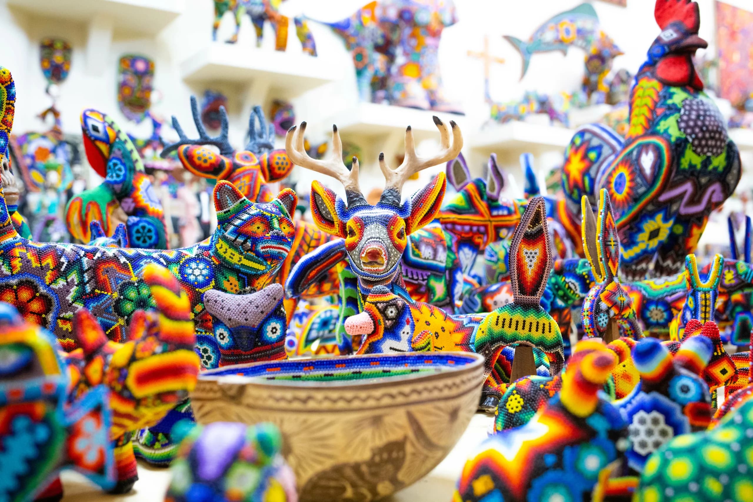 San José del Cabo — Los Cabos